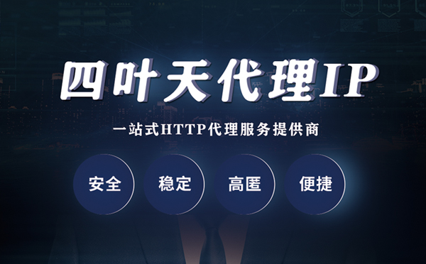 【德宏代理IP】代理ip客户端使用教程